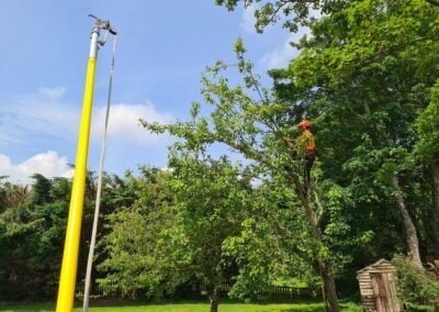 Commercial Tree Surgeons Lincolnshire