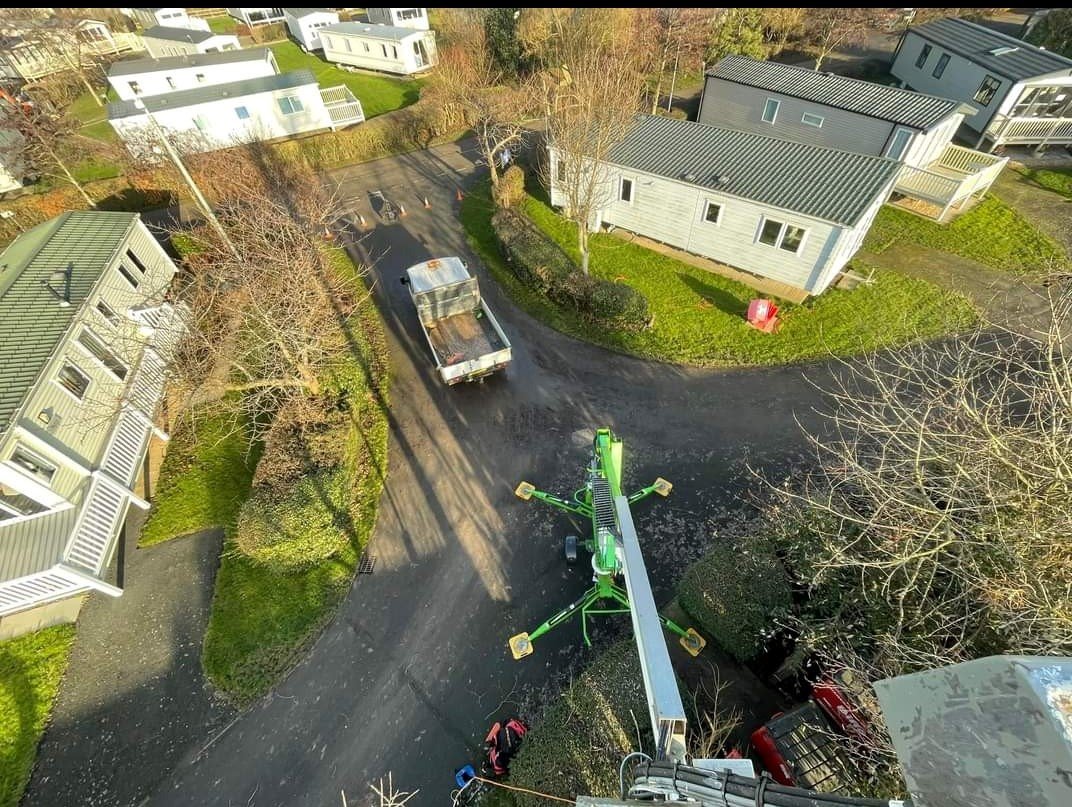 Tree Services Grimsby<br />
