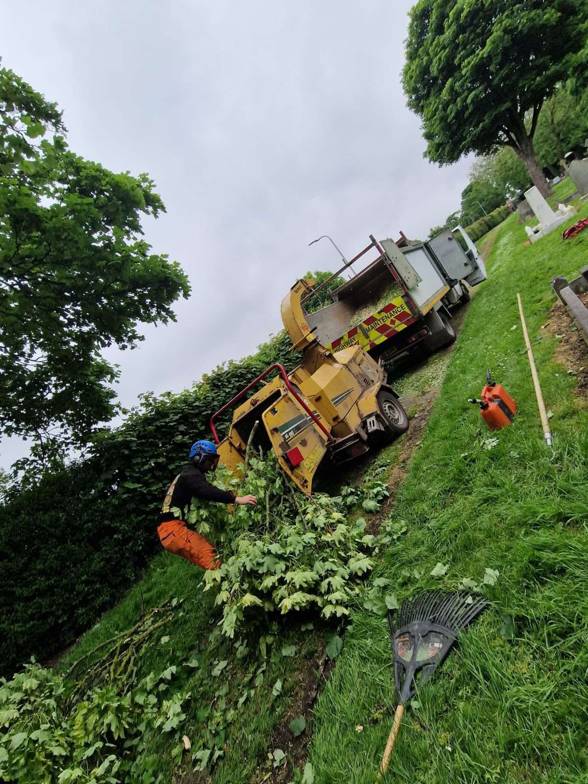 Tree Surgeons Lincoln