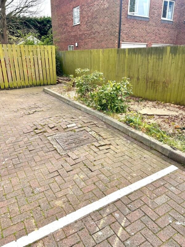 Two Mature Lime Tree Removal Grimsby - Image 5