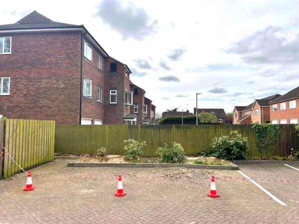 Two Mature Lime Tree Removal Grimsby - Image 6