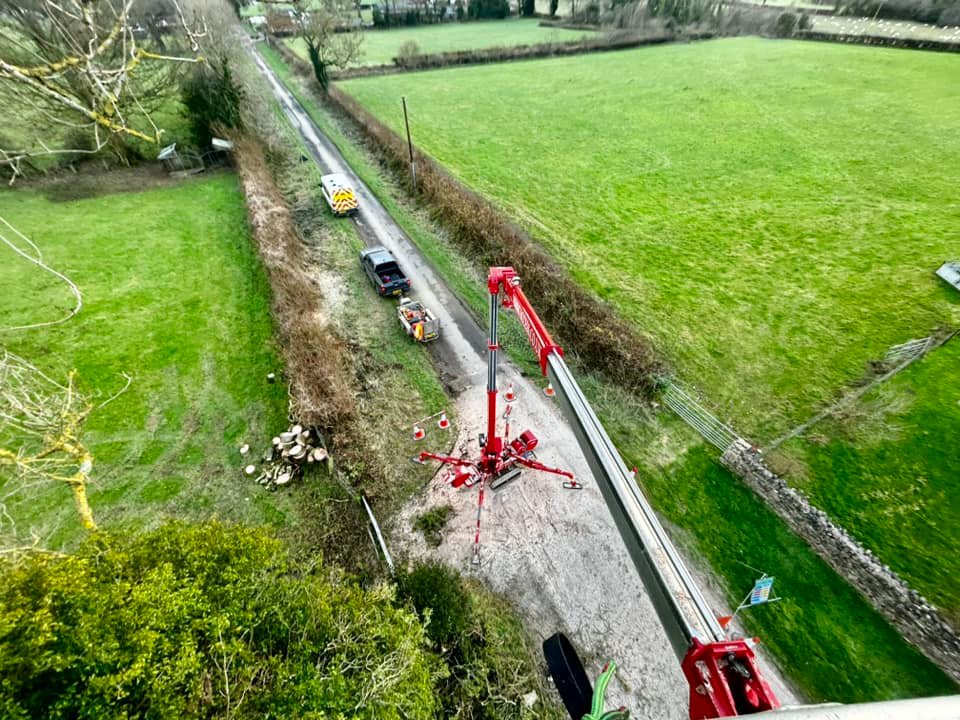 Tree Surgeons Cleethorpes