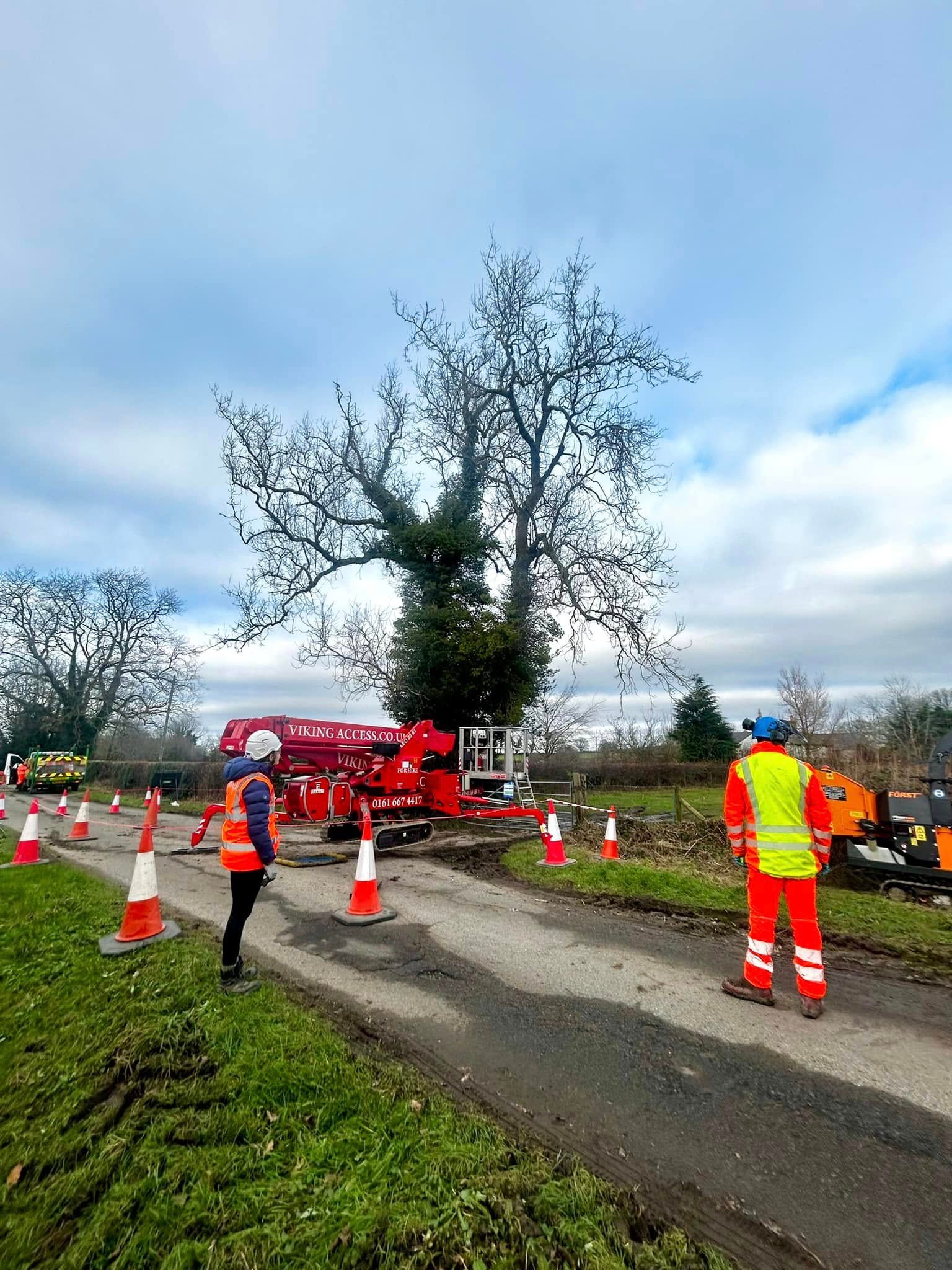 Tree Surgeons Cleethorpes