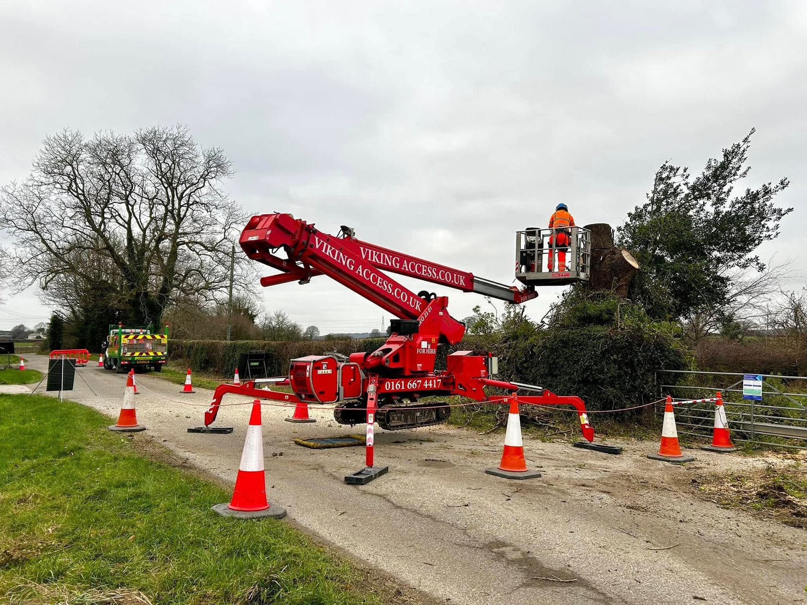Tree Surgeons Grimsby