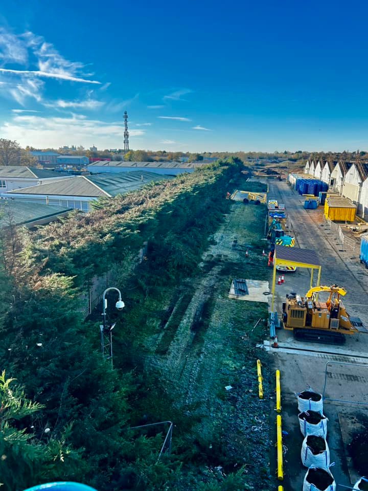 Tree Surgeons Cleethorpes