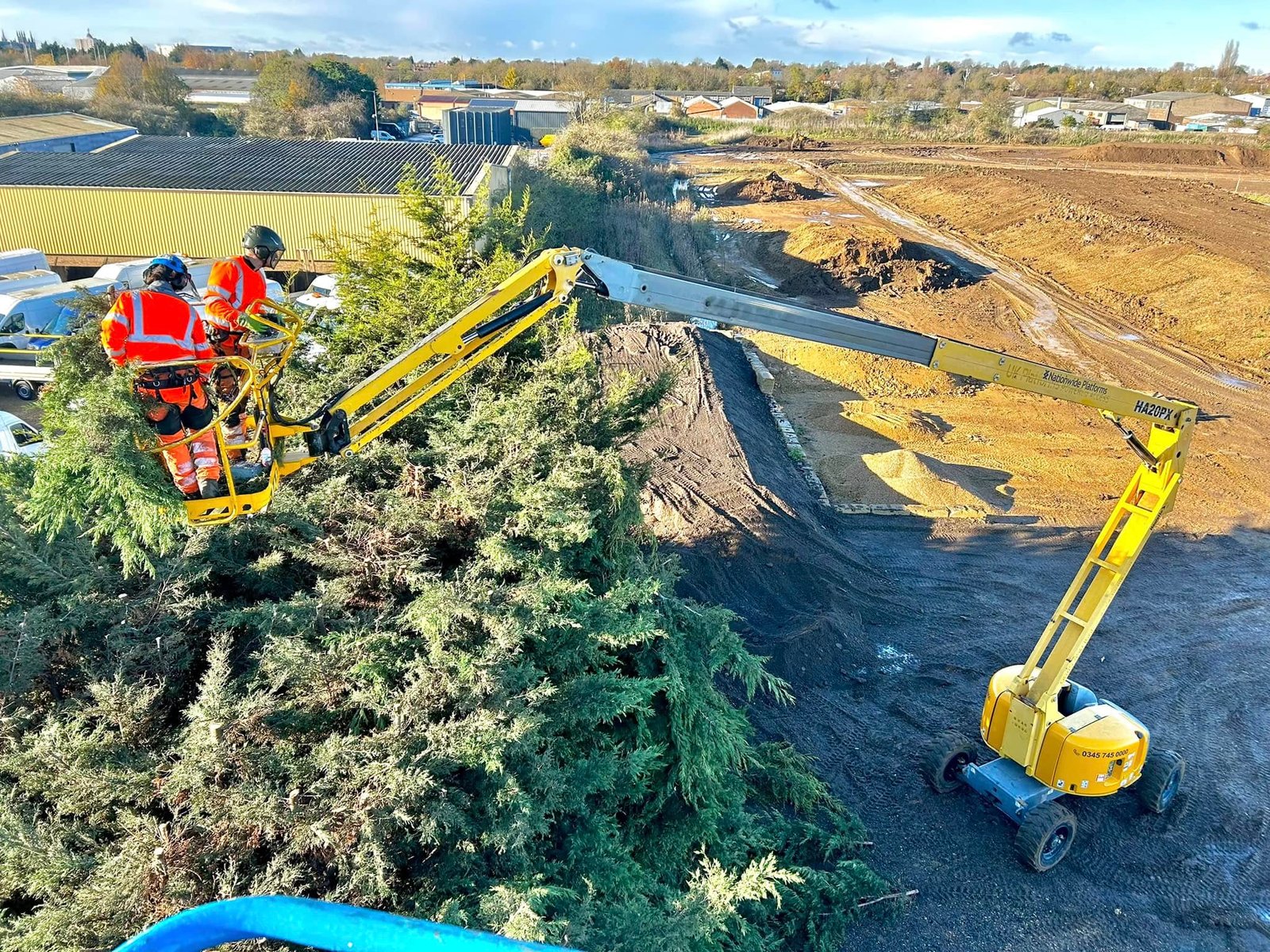 Tree Surgeons Grimsby