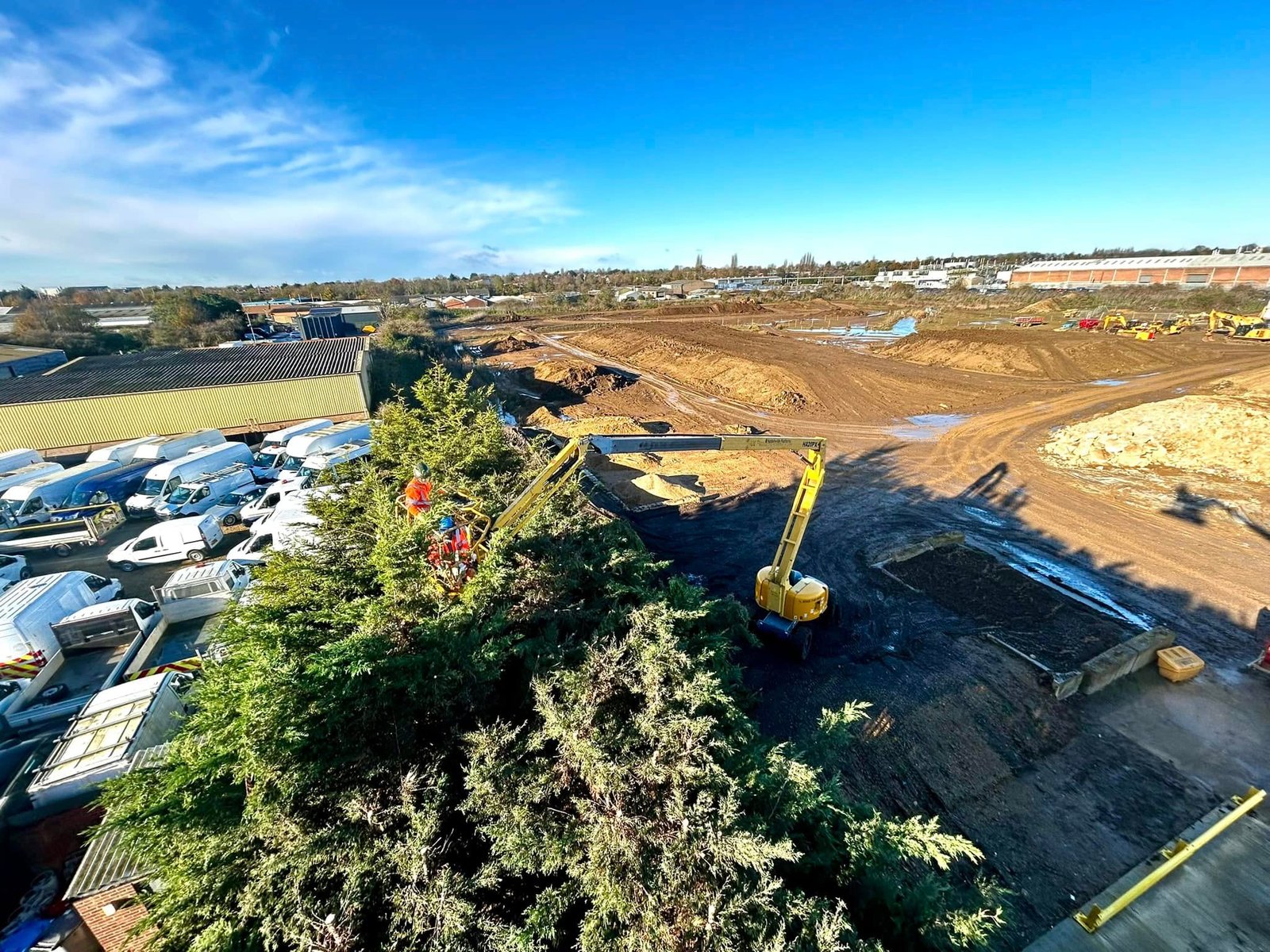 Tree Surgeons Cleethorpes