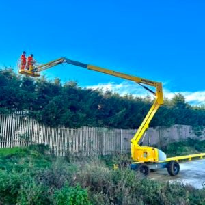 Tree Surgeons Cleethorpes
