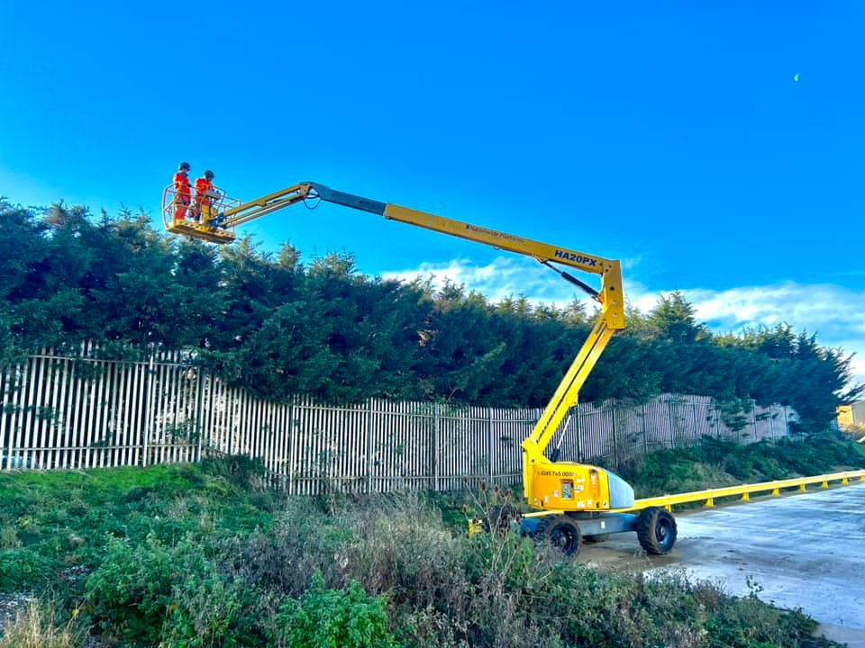 Tree Surgeons Cleethorpes