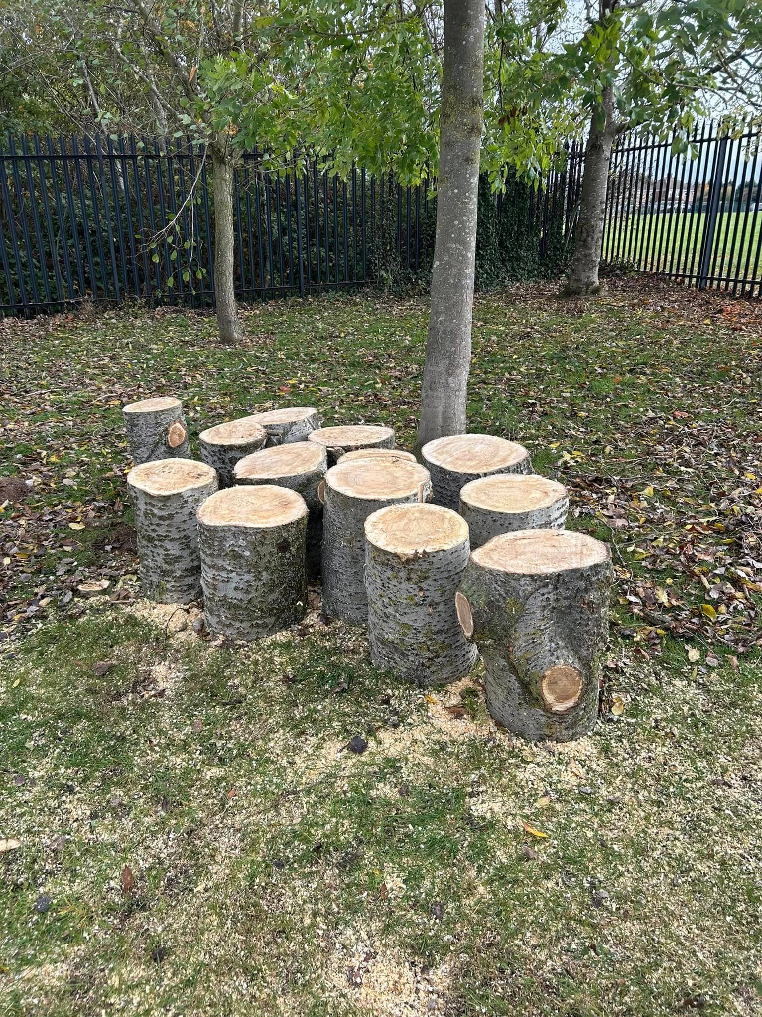 Tree surgeons Cleethorpes